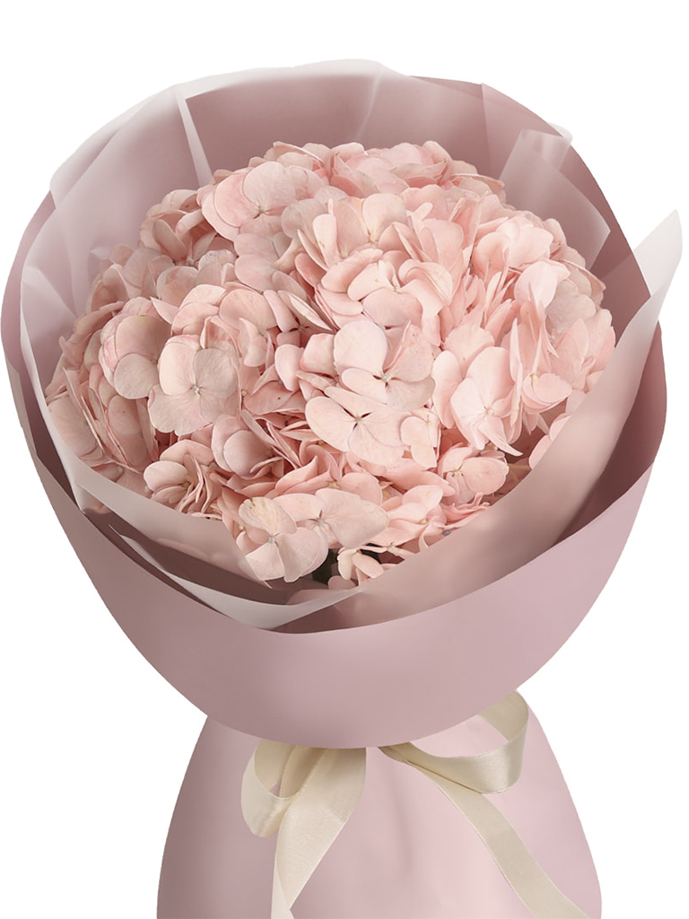 Pink Cloud Hydrangea (Pink, White, Blue) — Flowers Station, Winnipeg florist