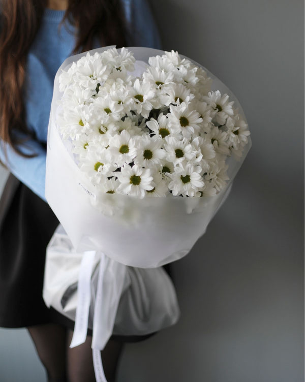 Daisy Dream