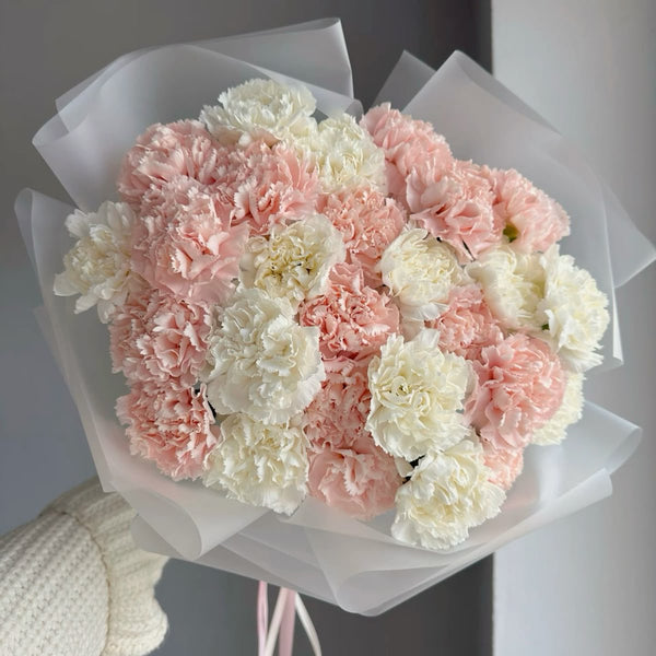 Carnations Mix